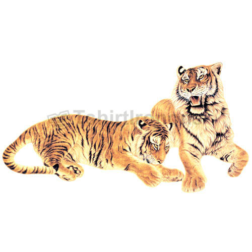 Tiger T-shirts Iron On Transfers N5606